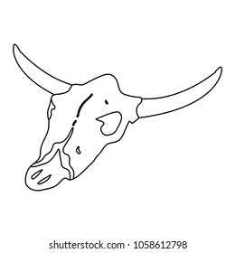 line buffalo animal dead skull in the desert