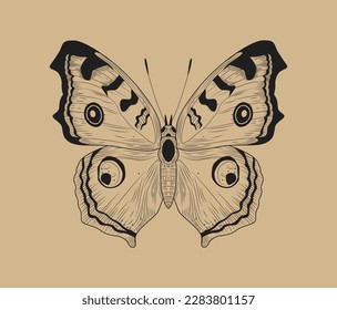 Line butterfly concept. Danaus genutia, insect with wings. Educational material for children. Biology, zoology and fauna. Flying Wild Animal. Cartoon flat vector illustration