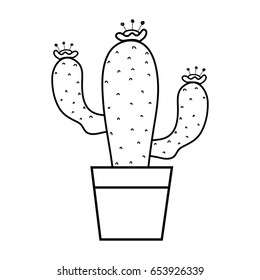 line cactus plant with flower inside of flowerpot