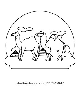 line camel and dromedary desert animal travel