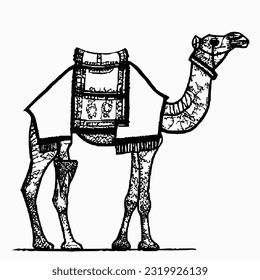 línea camello handrawn eid al adha islamic festividad