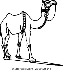 line camel handrawn eid al adha islamic holiday