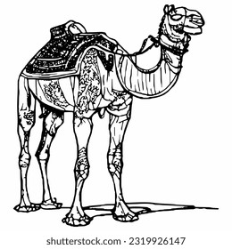 line camel handrawn eid al adha islamic holiday