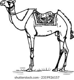 line camel handrawn eid al adha islamic holiday