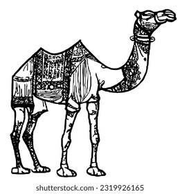 line camel handrawn eid al adha islamic holiday