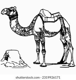 line camel handrawn eid al adha islamic holiday