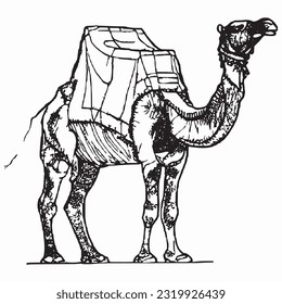 line camel handrawn islamic holiday