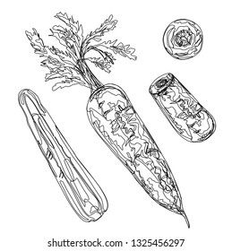 
line carrot vector