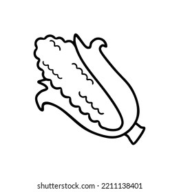 Line cartoon illustration of a corn on white background. Vector