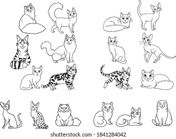 
Line cat breeds sticker coloring book