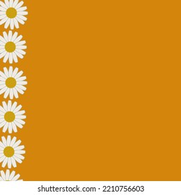line chamomile orange background flowers white petals