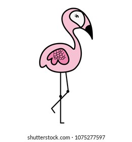 line color exotic flamingo nature bird animal