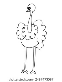 Line continuous ostrich isolated on white background. Hand drawn cartoon style vector illustration.