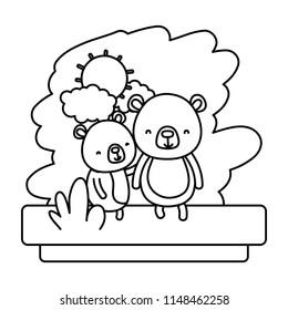 line couple bear nice wild animal