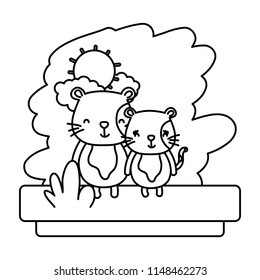 line couple cat nice wild animal