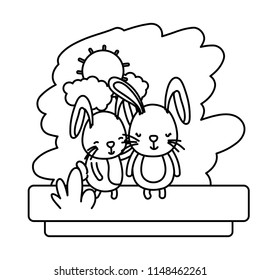 line couple rabbit nice wild animal
