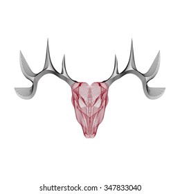 line craft skull of deer vector illustration
