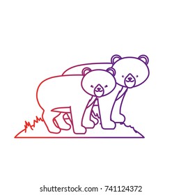 line cute bear animal couple together