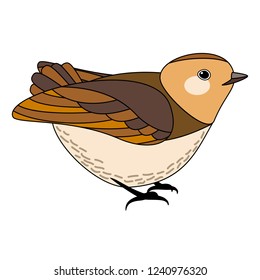 Line cute bird, coloring style isolated on white background, vector sign. 