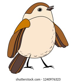 Line cute bird, coloring style isolated on white background, vector sign. 