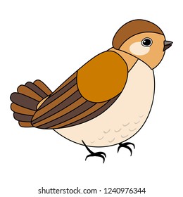 Line cute bird, coloring style isolated on white background, vector sign. 