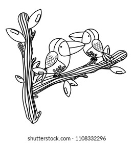 line cute bird couple animal in the branches leaves