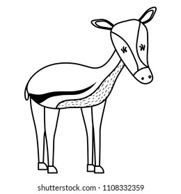 line cute deer female wild animal
