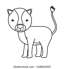 line cute female lion wild animal