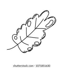 line cute nature exotic leaf design