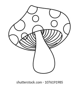 line cute nature fungus vegetable plant
