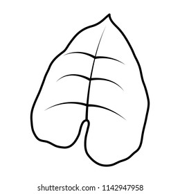 line cute nature leaf exotic style