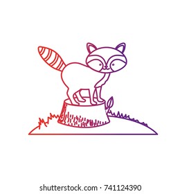 line cute raccoon animal in bole wood tree