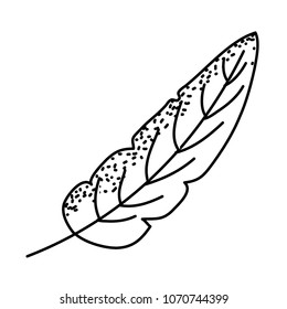 line cute tropical leaf in the spring nature