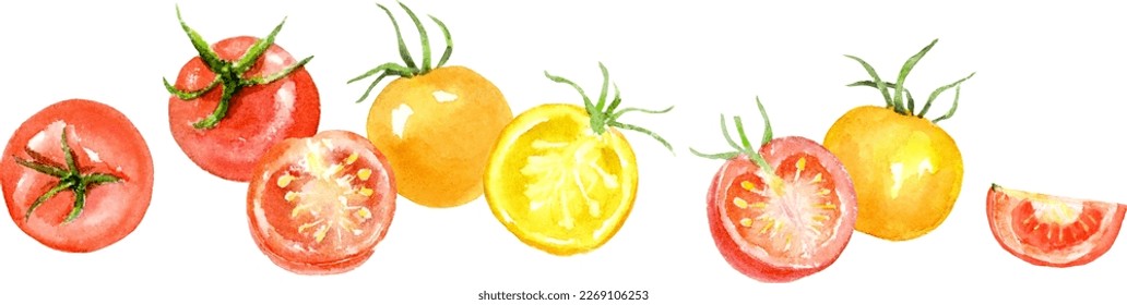 Line decoration of petit tomatoes painted by watercolors