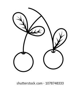 line delicious cherry organic fruit nutrition