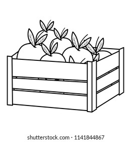 line delicious eggplants vegetables inside wood box