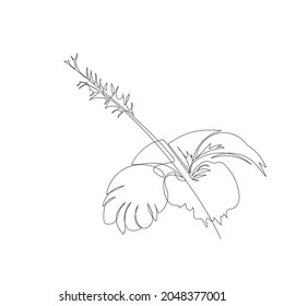 Line design silhouette drawing of a hibiscus flower. vector illustration
