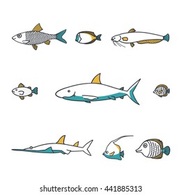 Line design vector fish icon set.