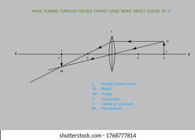 line diagrams when object placed at different positions from a lense