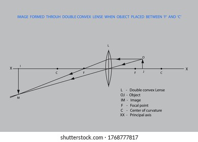 line diagrams when object placed at different positions from a lense