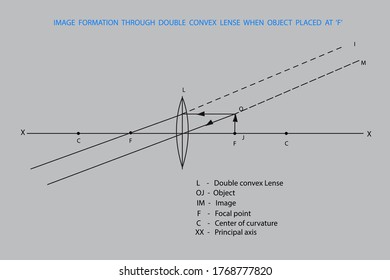 line diagrams when object placed at different positions from a lense
