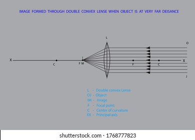 line diagrams when object placed at different positions from a lense