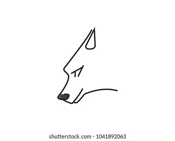 Line of dog.