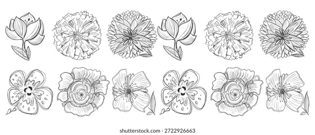 Line doodle flower seamless pattern. Simple hand drawn floral sketch, stroke flower borders, botanical draw illustration