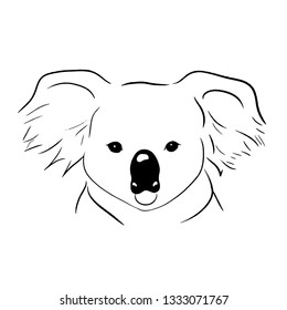 line draw beautiful big head of koala line vector illustration