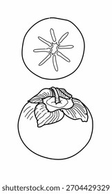 Dibujo de línea de caqui para colorear para niños y jardín de infantes