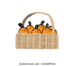 line draw oranges in the basket