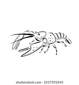 Line drawing. Art line beer snack - crayfish. Vector