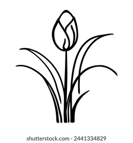 Line drawing art, floral illustration, botanical flower isolated, simple art design, abstract line, vector for frame, fashion design, web images, packaging