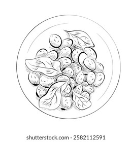 Line drawing. Line art food - Italian cuisine gnocchi plate. Vector minimalist design